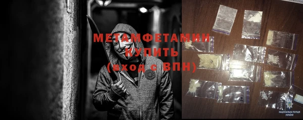 прущие грибы Балабаново