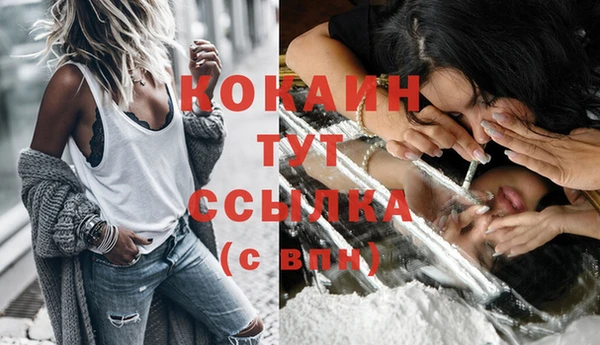 прущий лед Михайловск