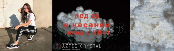 прущие грибы Балабаново