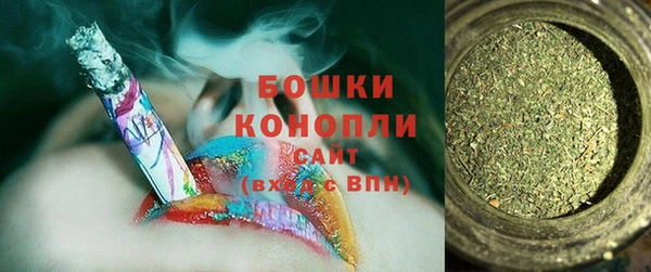 прущие грибы Балабаново