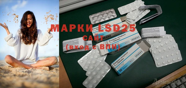 прущие грибы Балабаново