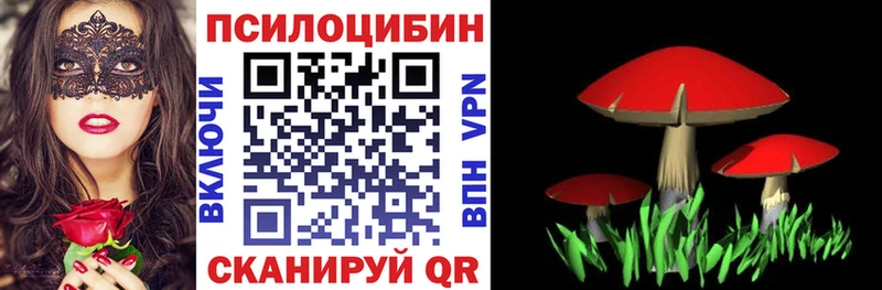 Псилоцибиновые грибы мицелий  KRAKEN рабочий сайт  Переславль-Залесский 